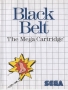 Sega  Master System&nbsp; - &nbsp;Black Belt (Front)